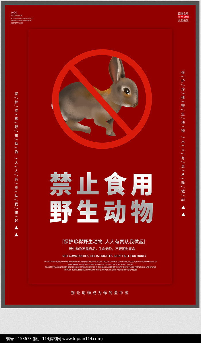 保护野生动物宣传海报