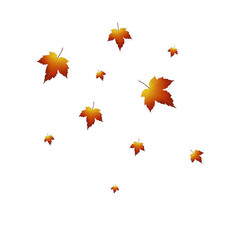 秋天手绘树叶枫叶元素