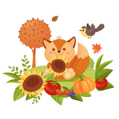 秋天秋季可爱小动物狐狸插画素材