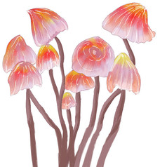 手绘粉红色菌菇色彩插画