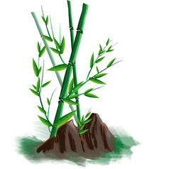 原创绿色竹子