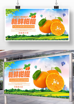 创意简约新鲜柑橘水果展板设计