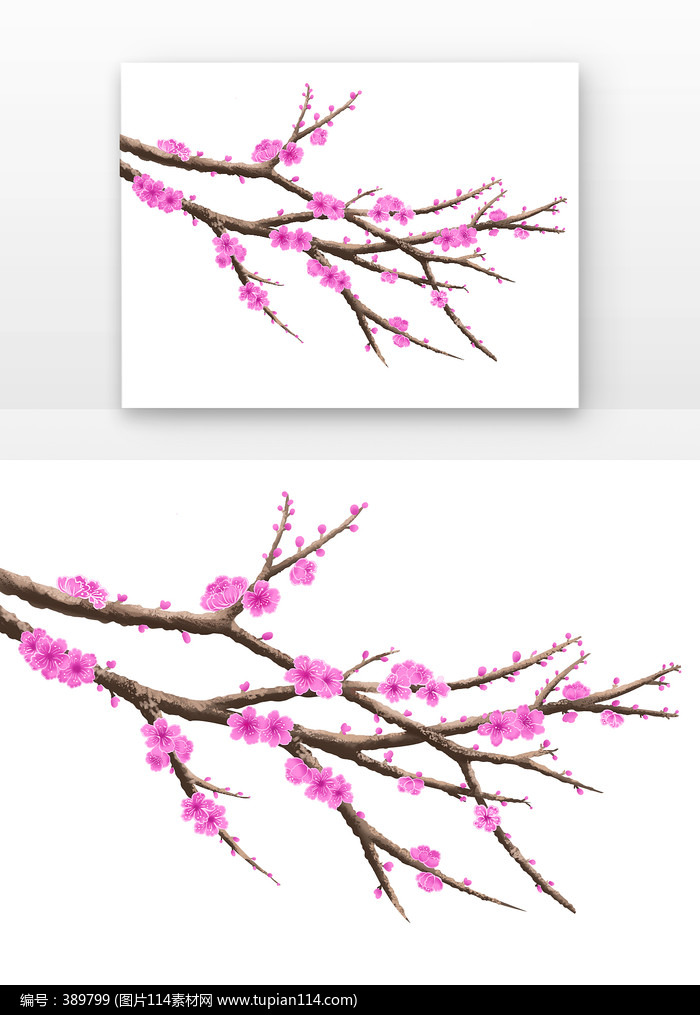花带树枝的粉红色桃花
