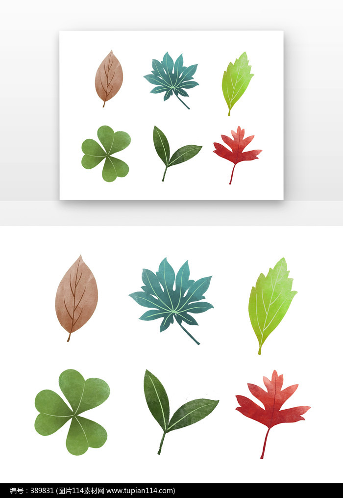 植物树叶叶片元素卡通套图