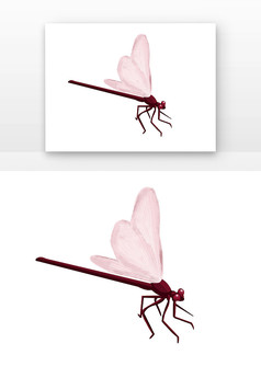 粉色蜻蜓元素