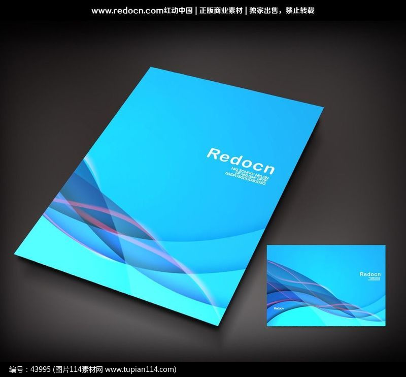 ��ɫ����