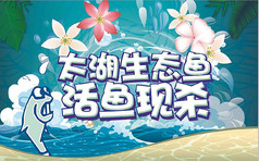 太湖生态鱼宣传海报设计