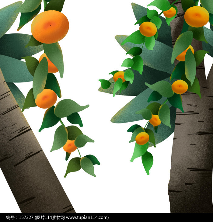 原创手绘橘子树