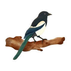 喜鹊插画素材