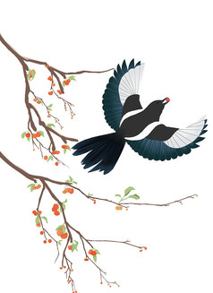 喜鹊插画素材