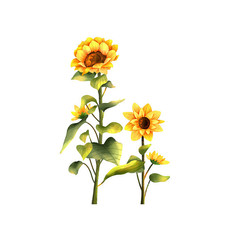 向日葵花枝