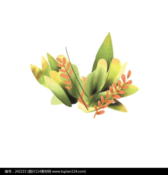 һ����ֲ�ֻ�