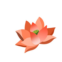 ���������ɻ�