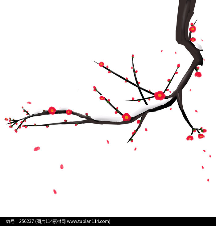 ������ѩ÷������