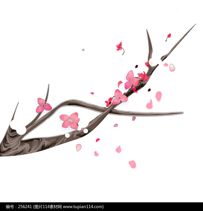 ������ѩ÷������