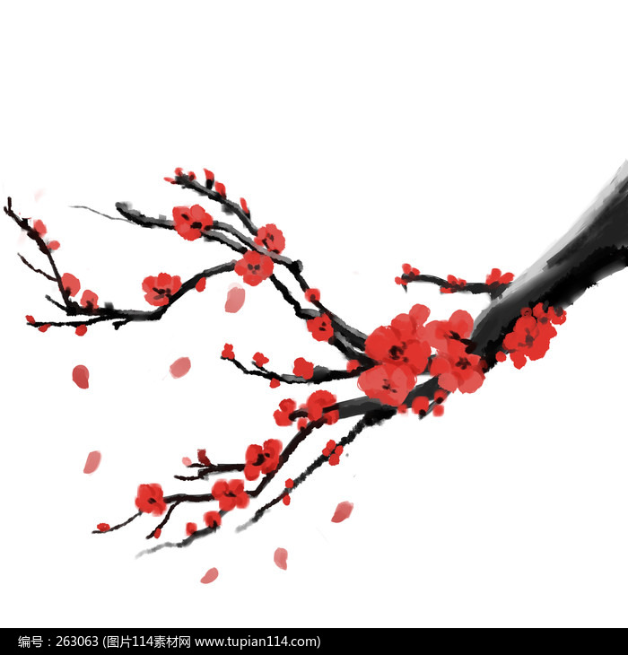 ������ѩ÷������