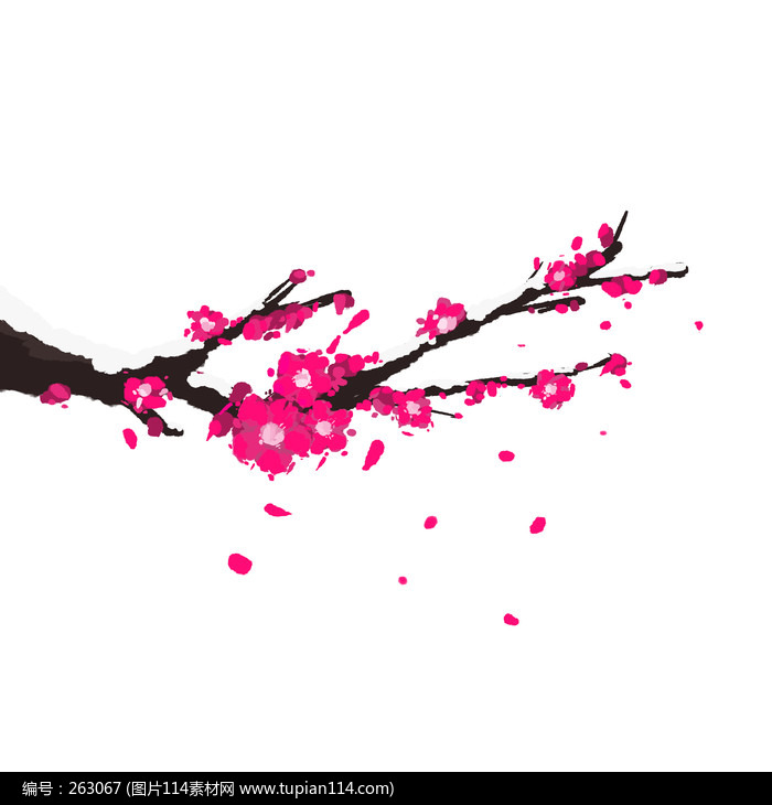 ������ѩ÷������