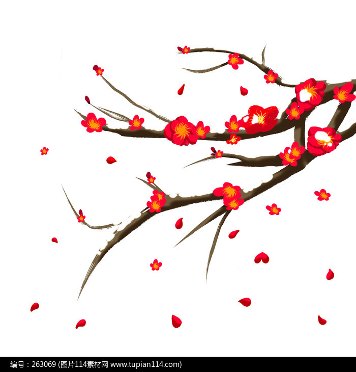 ������ѩ÷������