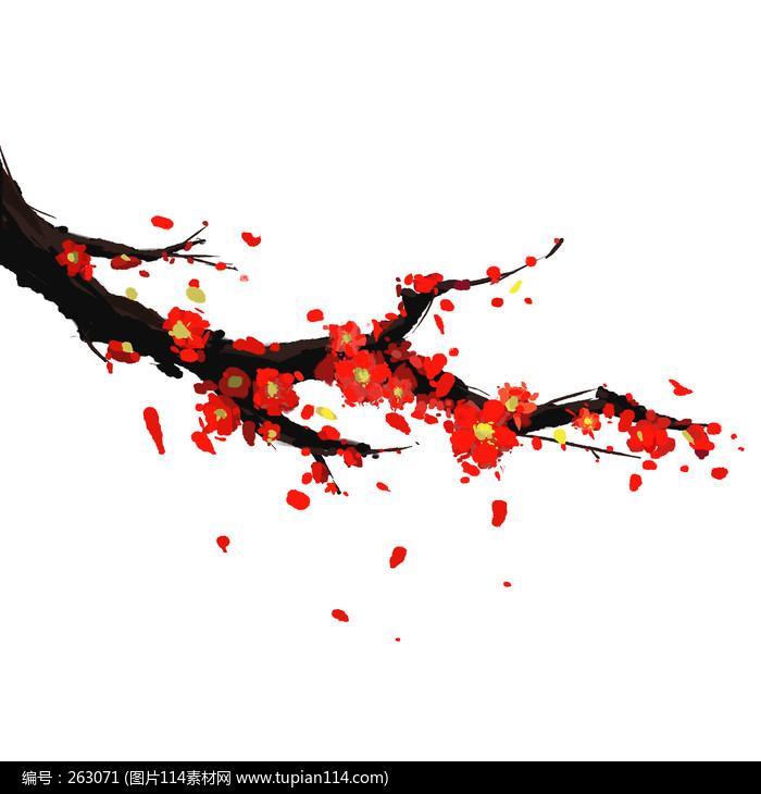 ������ѩ÷������