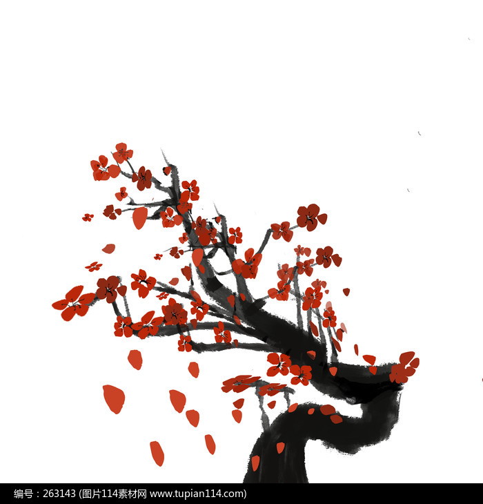 ������ѩ÷������