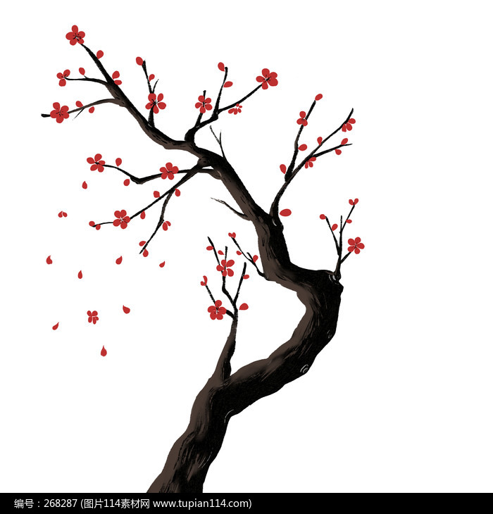 ������ѩ÷������