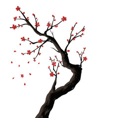 ������ѩ÷������