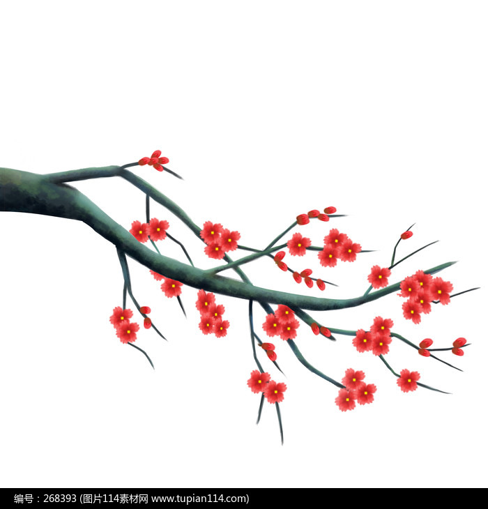 ������ѩ÷������