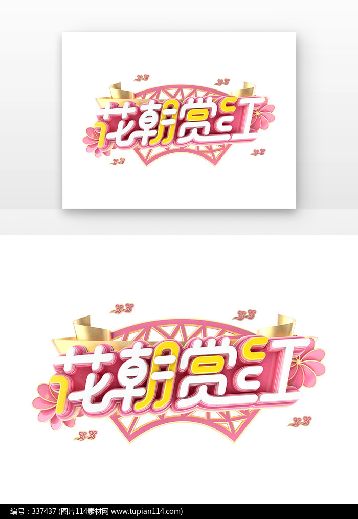 ͺ캣