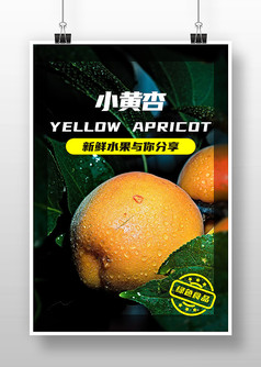 绿色简约背景小黄杏水果海报
