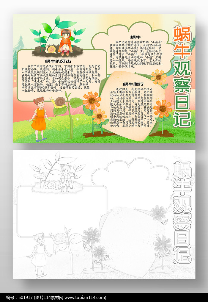 蜗牛观察日记手抄报模板