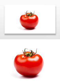 光滑美味的西红柿插画