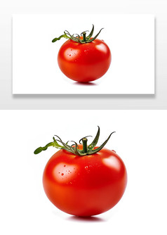 饱满圆润的红番茄插画