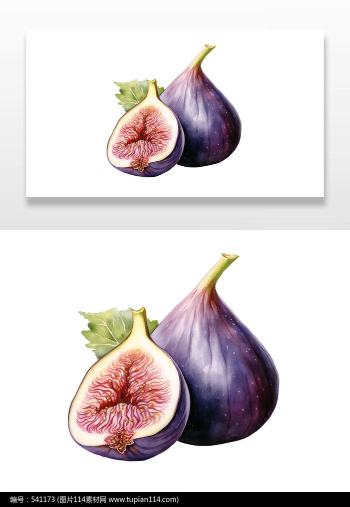 Ƥ޻廭