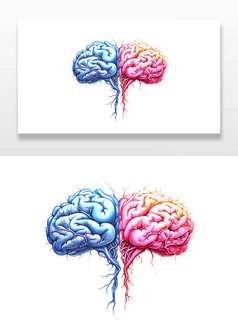彩色的大脑插图