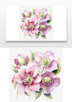 淡粉色植物花朵图片