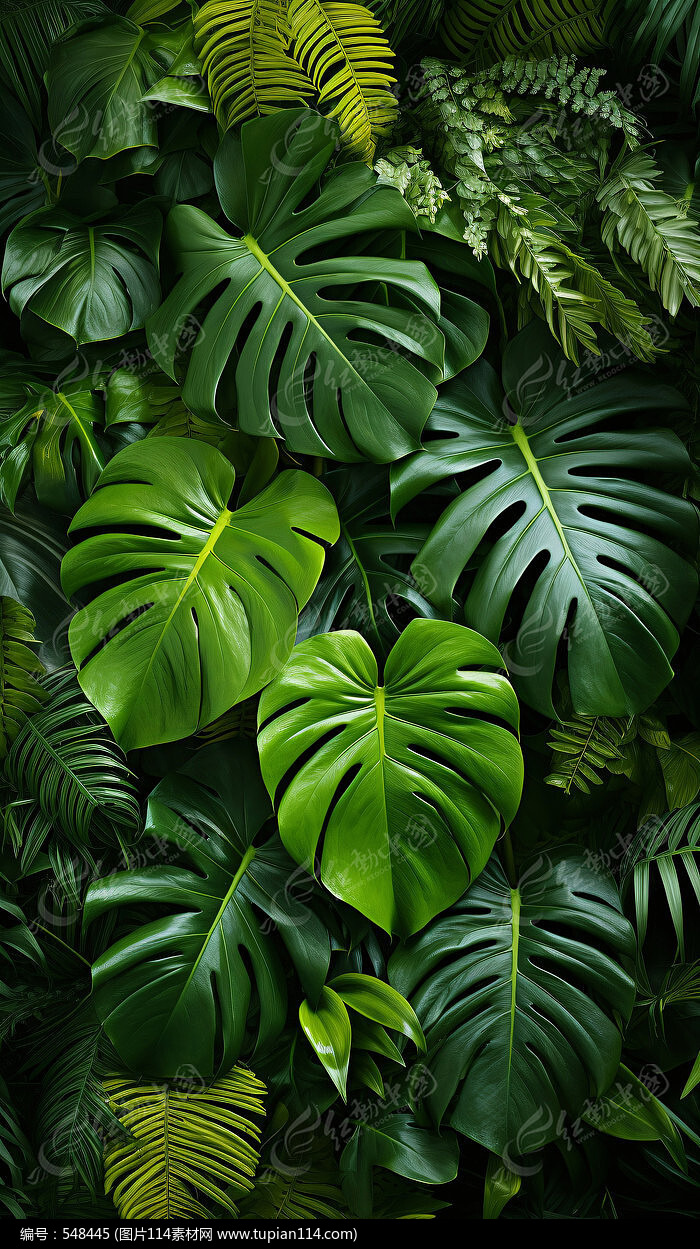 Ҷ