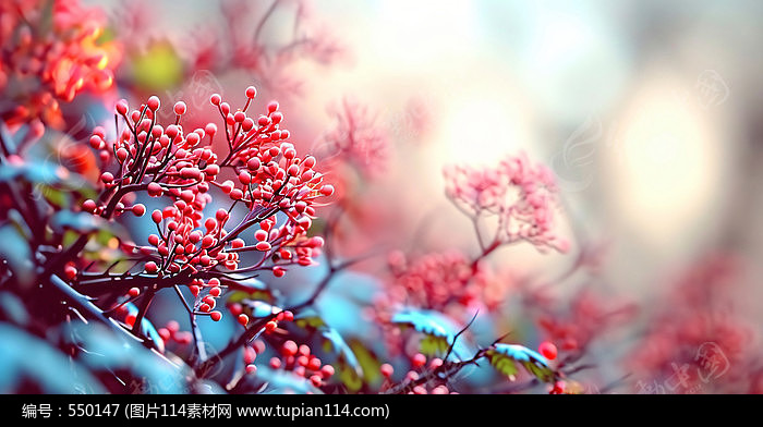 唯美植物绿植背景插图