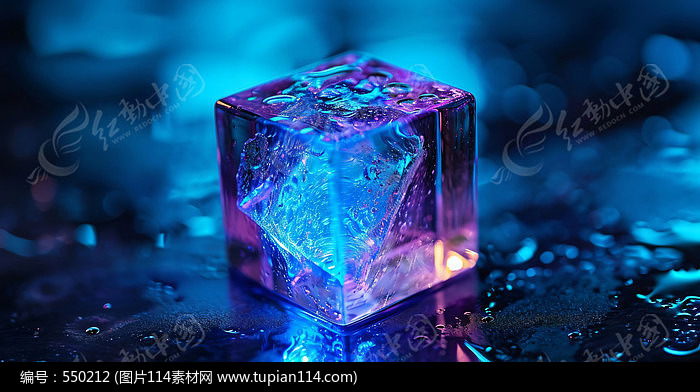 鱳