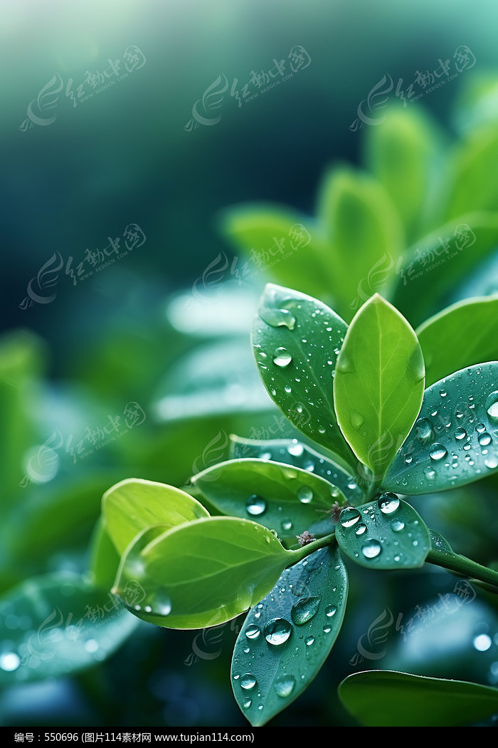ɰҶƬ¶