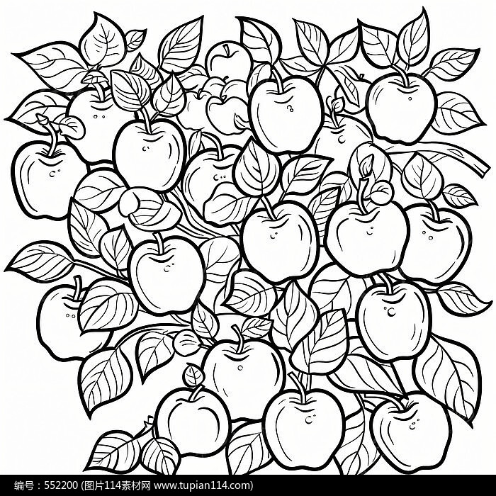 �����ƻ��