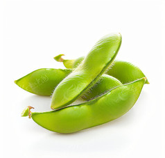 ë߲˲廭