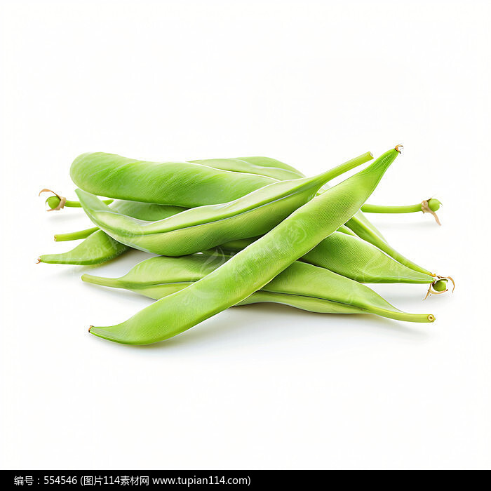 ʵļ
