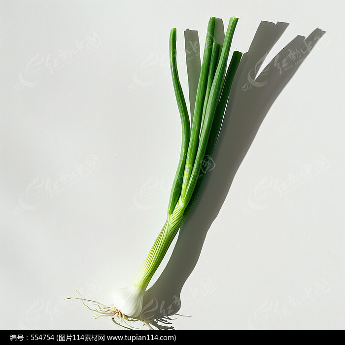 СеӰز