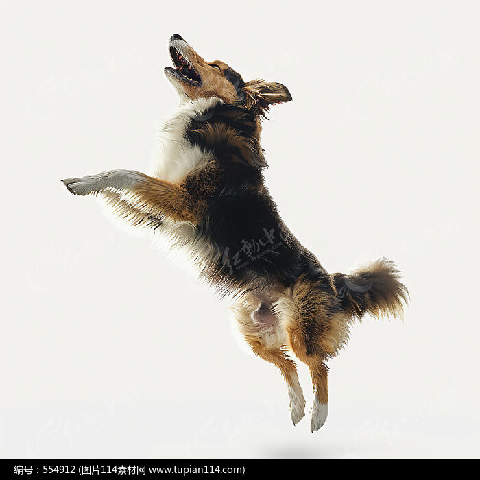 ԭ�����ﹷͼƬ