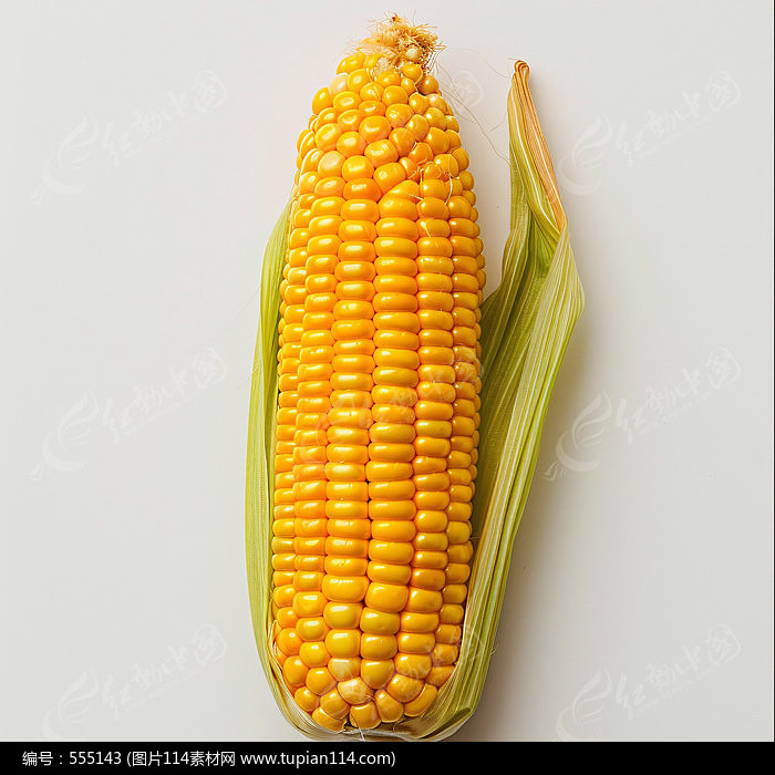 Ľɫ
