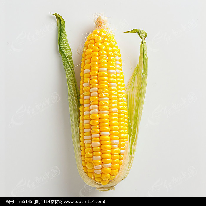 ʿɿڵ
