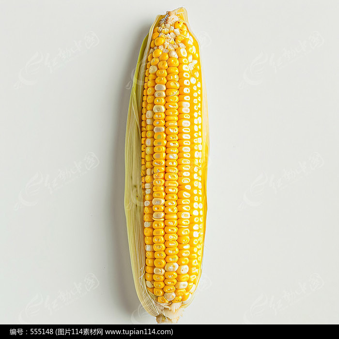 ˵