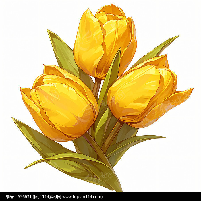 ŵ