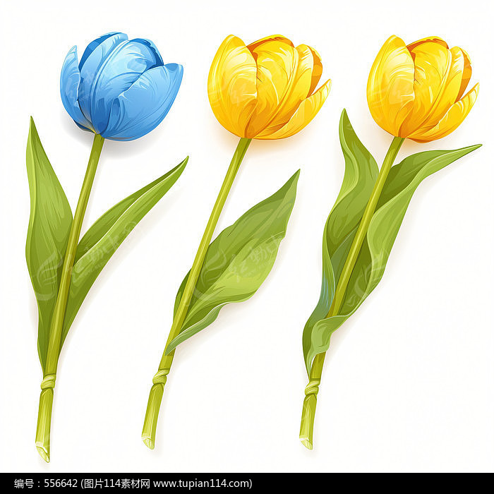 ŵĻ