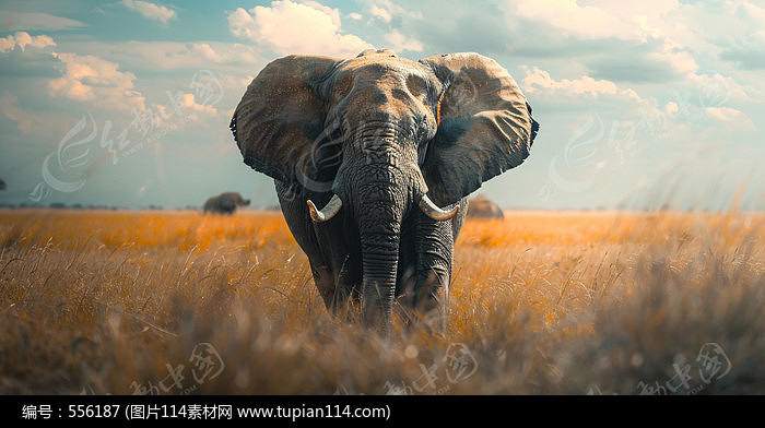 廭